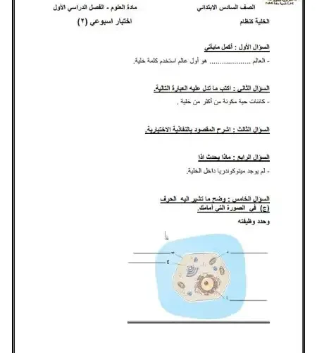 اختبار الوزارة الاسبوع الثاني علوم للصف السادس الابتدائي ترم اول 2025 PDF