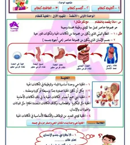 مذكرة الأمين علوم للصف السادس الابتدائي ترم اول 2024 / 2025 PDF